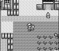 une photo d'Ã©cran de Harvest Moon GB sur Nintendo Game Boy